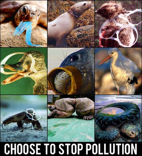 escolha dizer não à poluição