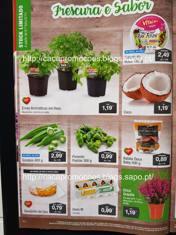 aldi folheto antevisão_Page16.jpg