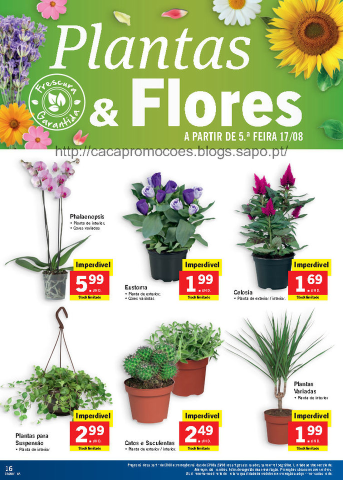 lidl folheto antevisão_Page16.jpg