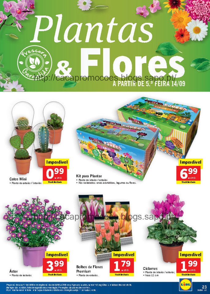 lidl antevisão folheto_Page31.jpg