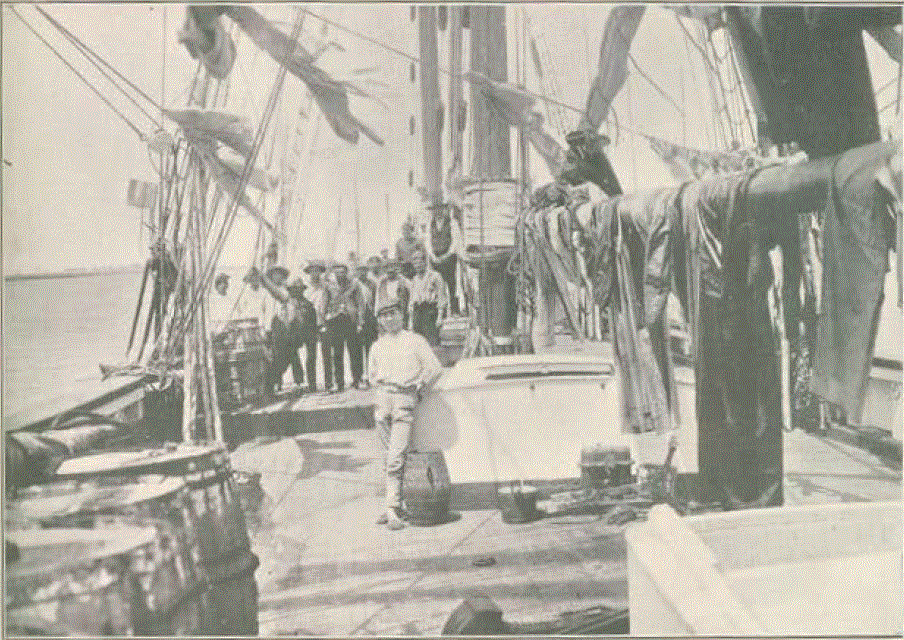 a bordo do gazela.GIF