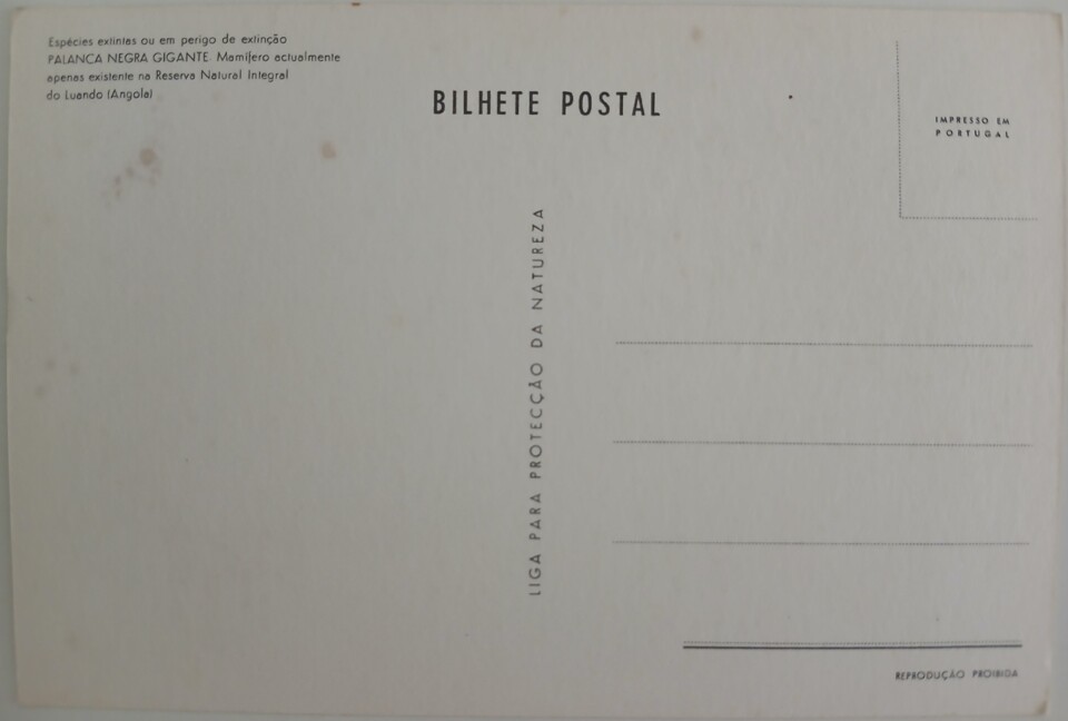 postal_palanca_negra_angola_Ed_liga_proteccao_natu