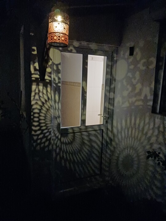 20260501_213355.jpg