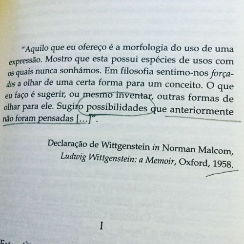 wittgenstein.jpg