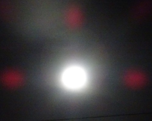DSC00387.JPG