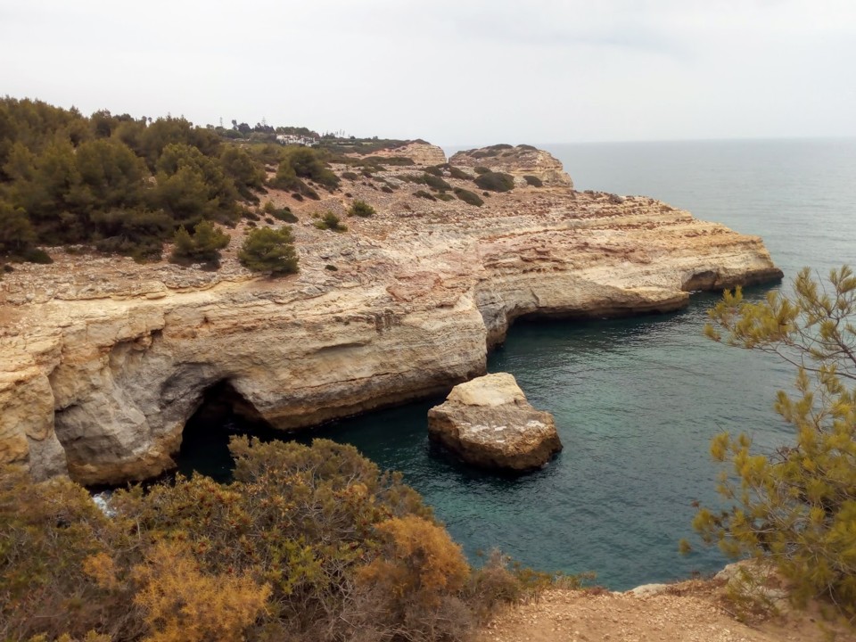 NãoMeCansoDisto_carvoeiro.jpg