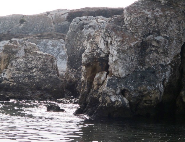 240421525_888358785394993_1119032057140623281_n.jp