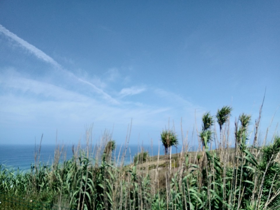 IMG_20190809_134902.jpg