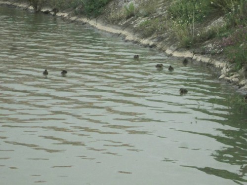 32983286_1652204174894881_7040562875550662656_n.jp