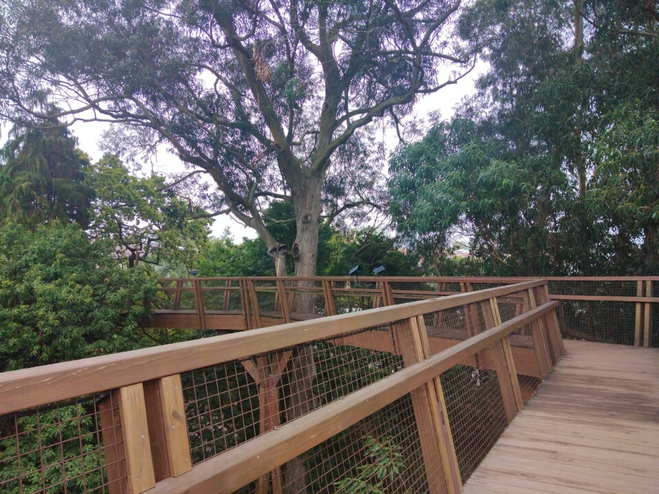 Serralves4.jpg