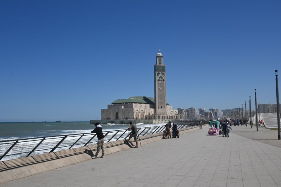 Não me canso disto casablanca C.JPG