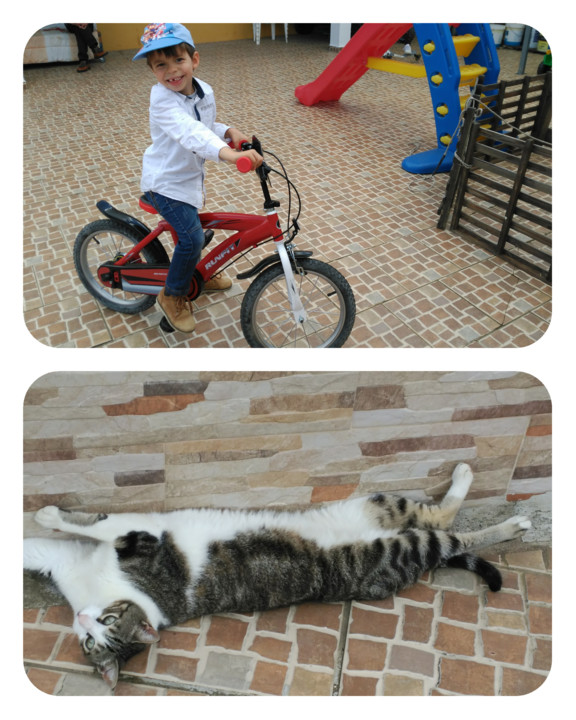 PhotoCollage_20190511_144400778.jpg
