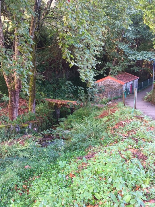Não me canso disto_caminhada2.jpg