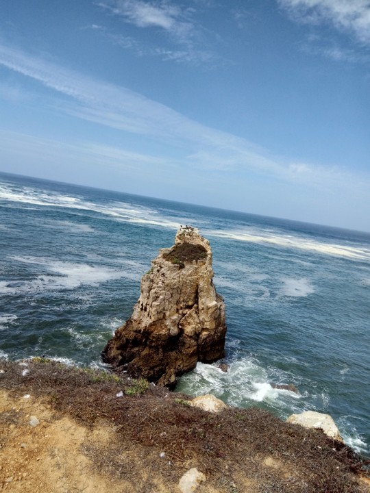IMG_20190809_152601.jpg