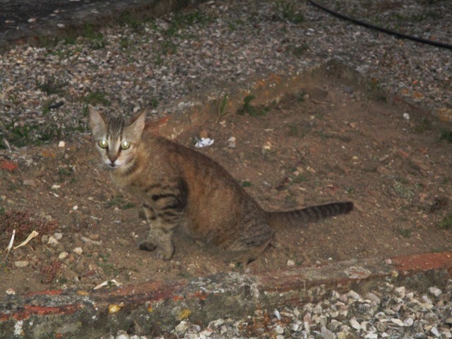 107499934_3030289250419693_1795124257772836249_o.j