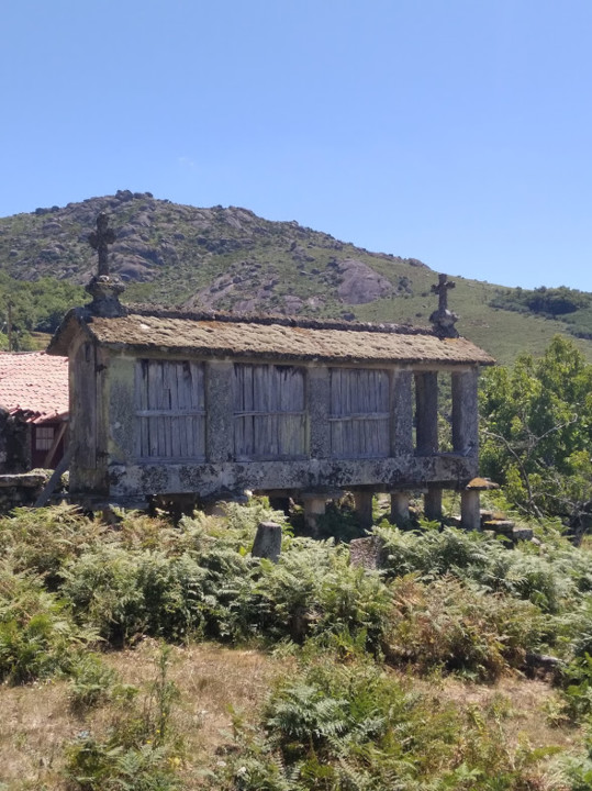 não_me_canso_disto_gerês9d.jpg