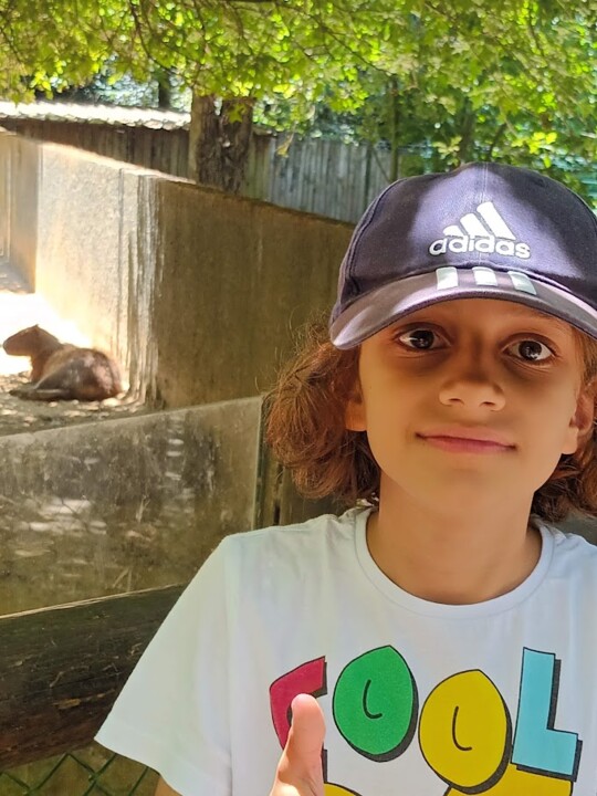 Não me canso disto_zoo4.jpg