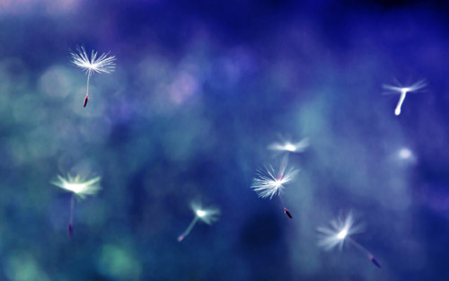 Pretty-Photo-Tumblr.jpg Pretty-Photo-Tumblr.jpg