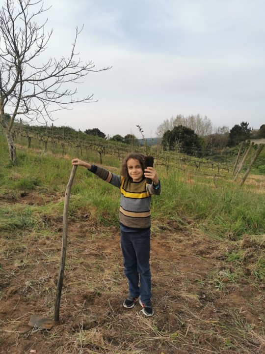 NãoMeCansoDisto_plantar4.jpg
