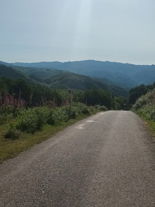 Não me canso disto geres.jpg