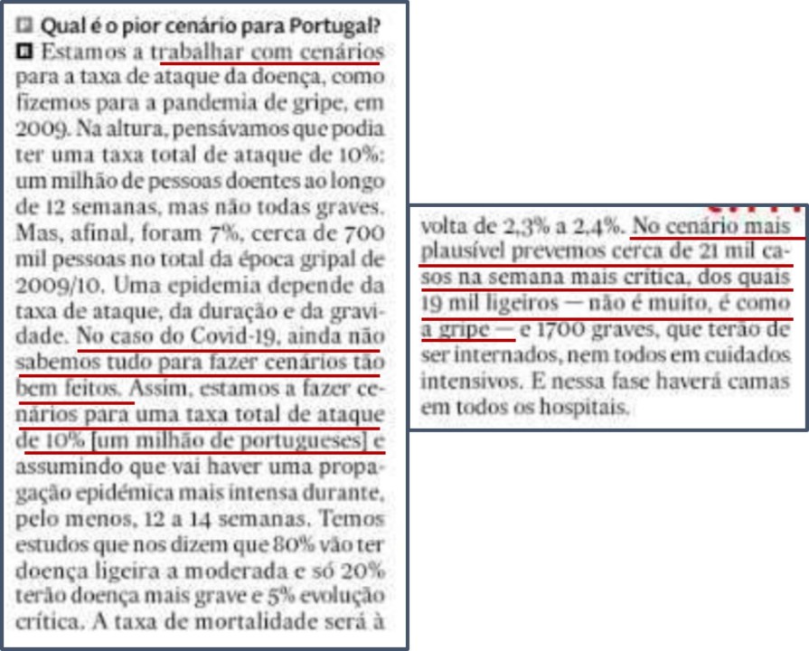graca freitas 1.jpg