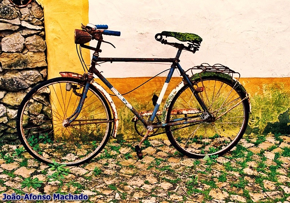 BICICLETA.JPG