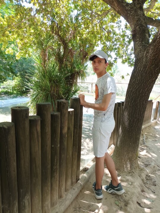 Não me canso disto_zoo3.jpg