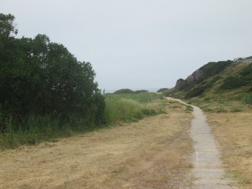 33129678_1652211474894151_1131771779971284992_n.jp