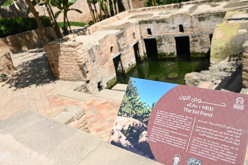 Não me canso disto RAbat9d.JPG