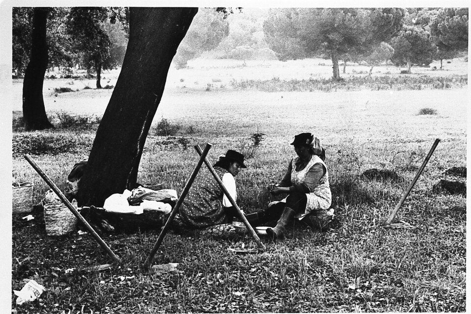 hora da refeiçao.jpg