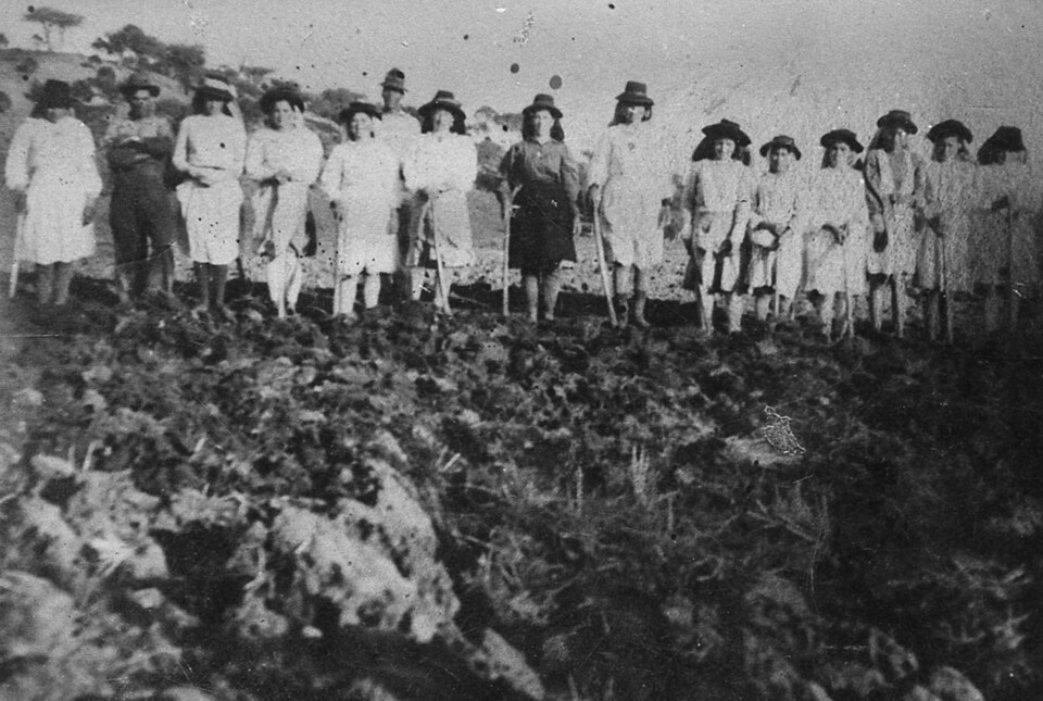 grupo de mondinas.jpg