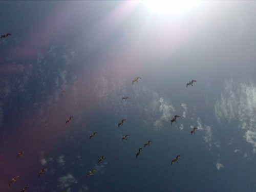 20108283_1365746606873974_2096062070185145158_n.jp