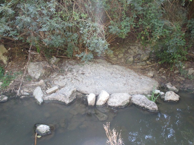 223850479_4098365353612072_8280282199749410999_n.j