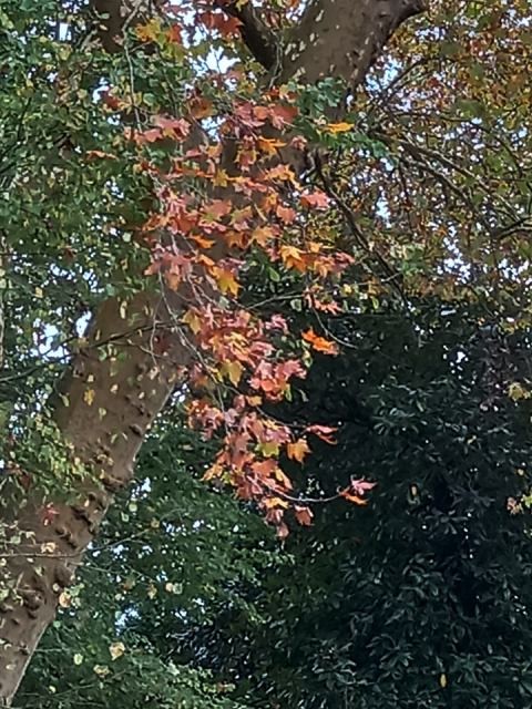 259408779_3037884399762298_3650960976136573257_n.j