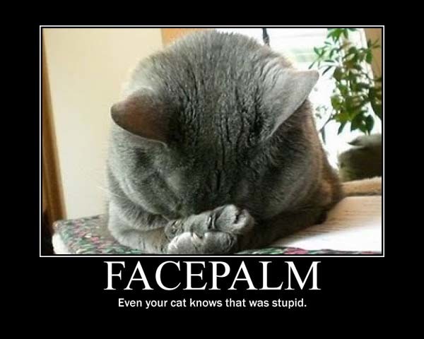 cute-cat-funny-facepalm-memes-pics.jpg