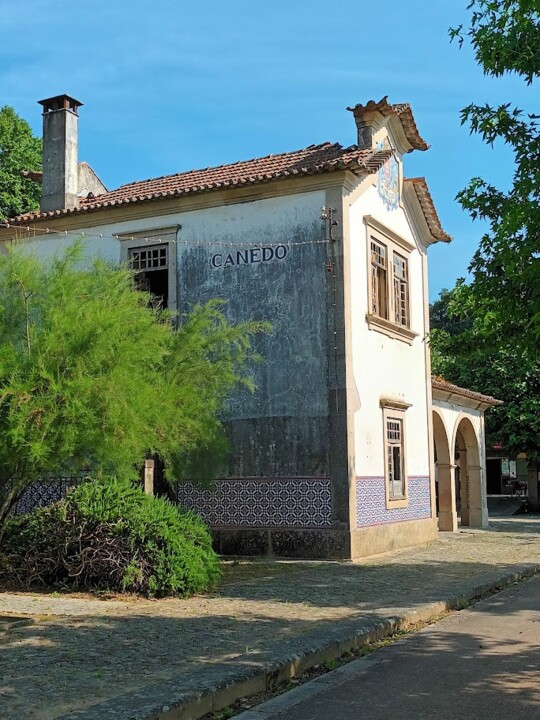 Não me canso disto_Canedo.jpg