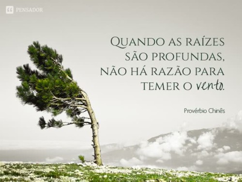 proverbio_chines_quando_as_raizes_sao_profundas.jp