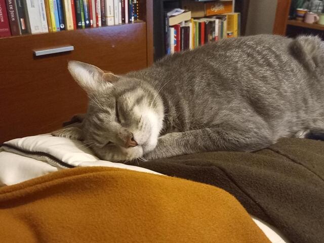 425659016_784890300329446_5407372747288863029_n.jp