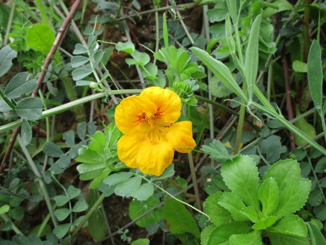 167058155_3773440179437926_3085578724700635998_n.j