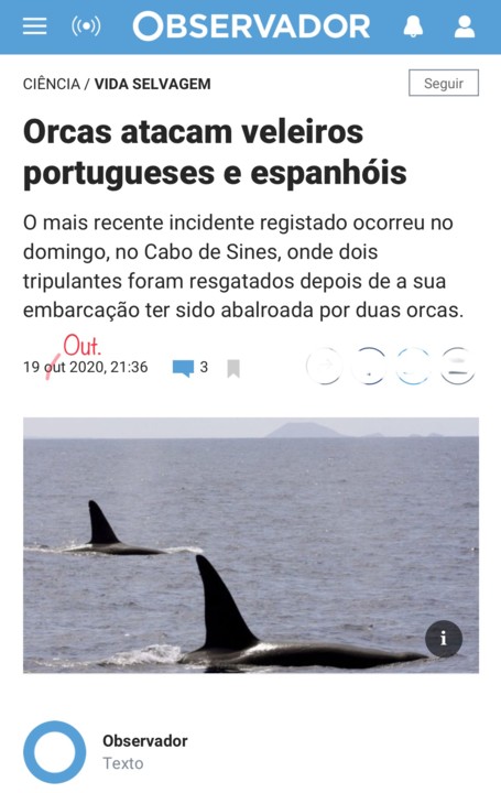 Estupidez em ação, Observador, 20/X/20