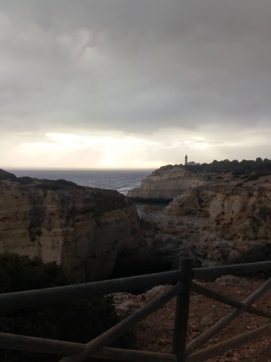 NãoMeCansoDisto_carvoeiro6.jpg