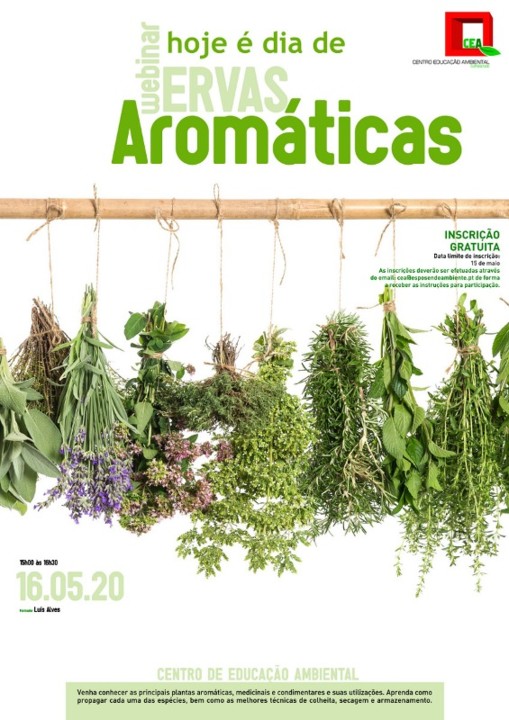 ErvasAromaticas (002).jpg