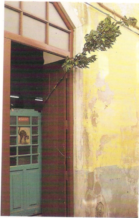 Tasca do Mija-Gato-1.jpg