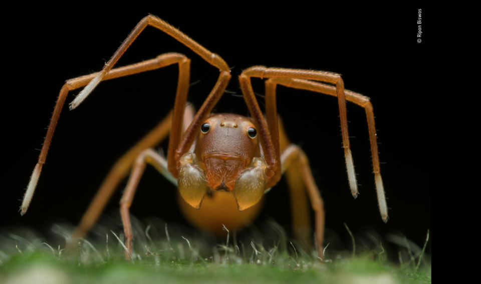 Captura de ecrã 2019-10-17, às 13.44.11.png
