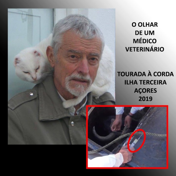 O OLHAR DE VASCO REIS.jpg O OLHAR DE VASCO REIS.jpg