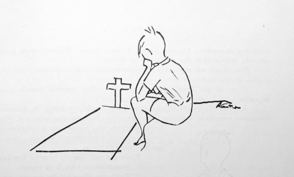 Pétalas - ilustração.jpg Pétalas - ilustração.jpg