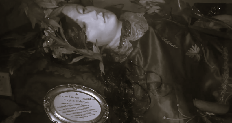 simulacro santa concordia.png