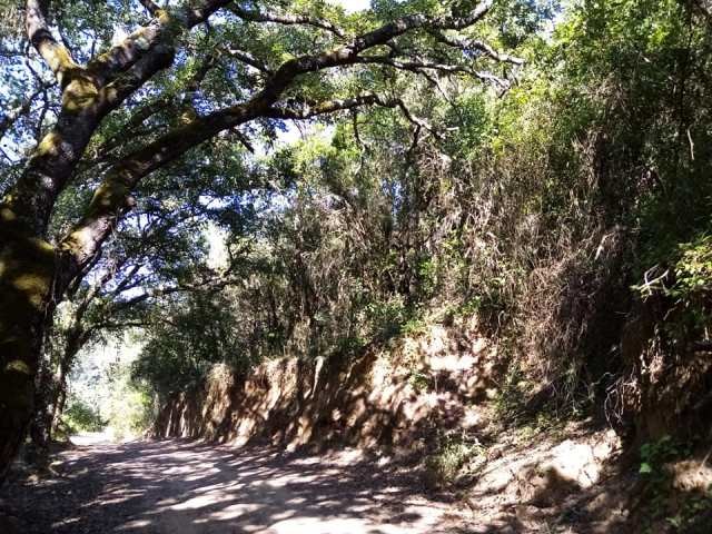 106106231_326246088536412_5391434438765590268_n.jp