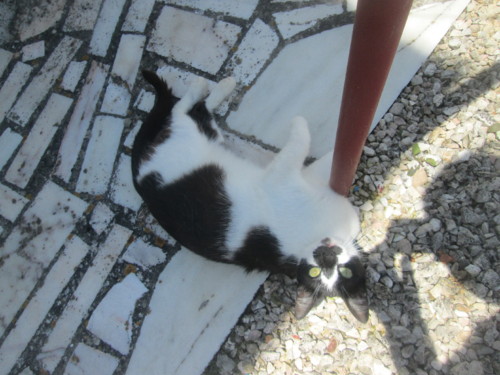 IMG_5917.JPG IMG_5917.JPG