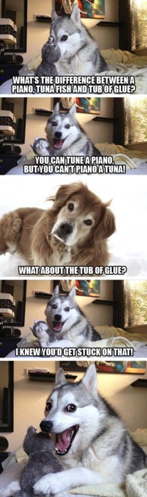 pundog3.jpg